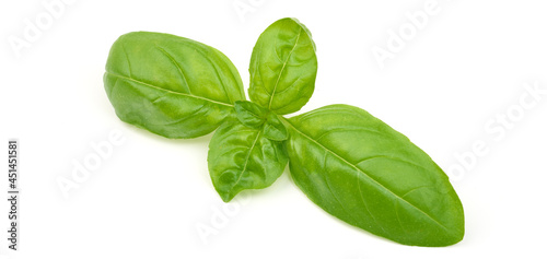 Basil herb, cooking condiments, isolated on white background. High resolution image.