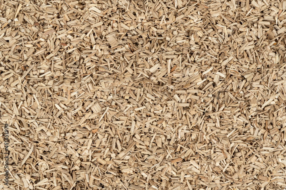 Oak chips sawdust texture. small wood chips for smoking. sawdust background. ecological fuel Oak chips sawdust texture. small wood chips for smoking. sawdust background. ecological fuel