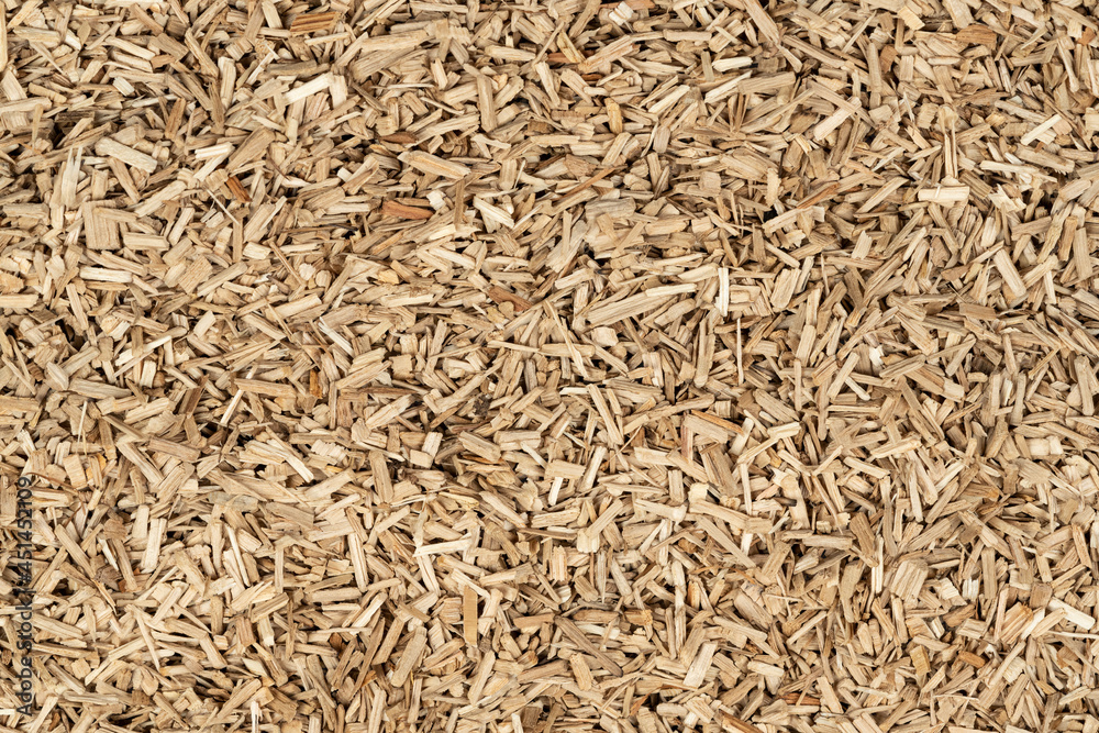 Oak chips sawdust texture. small wood chips for smoking. sawdust background. ecological fuel Oak chips sawdust texture. small wood chips for smoking. sawdust background. ecological fuel