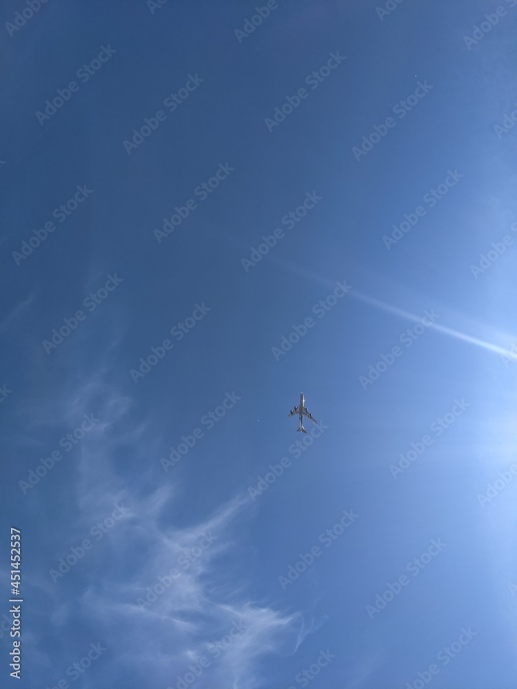 Fototapeta premium airplane in the sky
