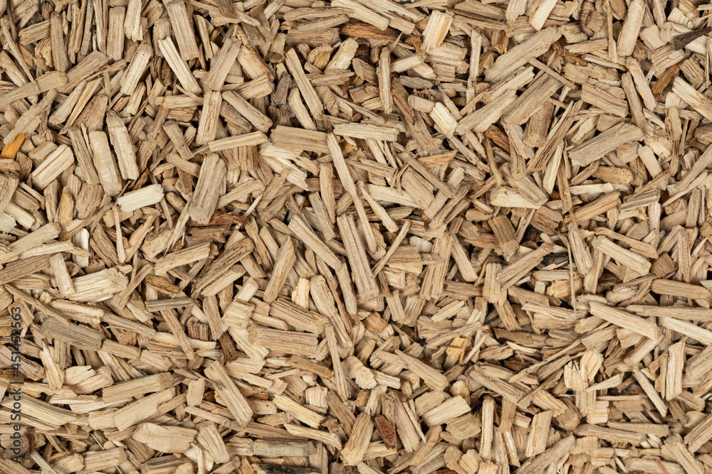 Oak chips sawdust texture. small wood chips for smoking. sawdust background. ecological fuel Oak chips sawdust texture. small wood chips for smoking. sawdust background. ecological fuel