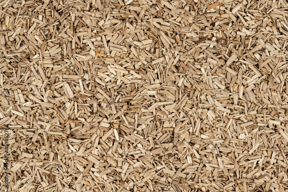 Oak chips sawdust texture. small wood chips for smoking. sawdust background. ecological fuel Oak chips sawdust texture. small wood chips for smoking. sawdust background. ecological fuel