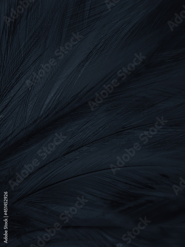 Beautiful abstract gray feathers on black background, soft white feather texture on white texture pattern, light pink theme wallpaper, black feather background, white gradient frame banners © Weerayuth