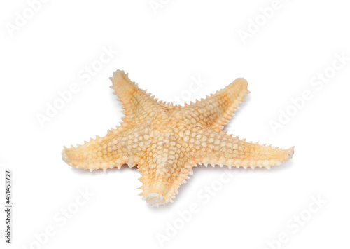 Beautiful sea star isolated on white. Beach object