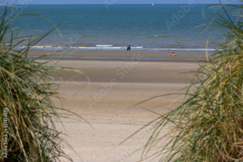 Fototapeta Naklejka Na Ścianę i Meble -  The View on the sea through the dunes