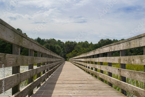 wooden foot bridge over the swamp and river