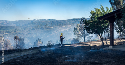 Bosque después de un incendio forestal, en Galicia, España. 
Helicópteros de bomberos