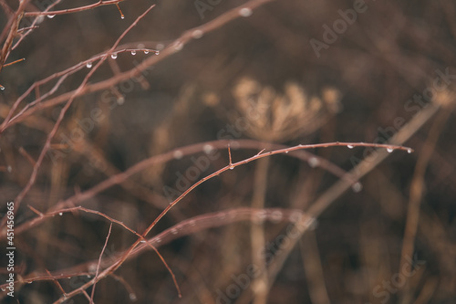 Winter water drop