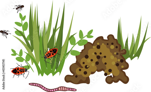 Biotope elements: earthworm, molehill, firebug, ant and green grass isolated on white background. Inhabitants of soil surface