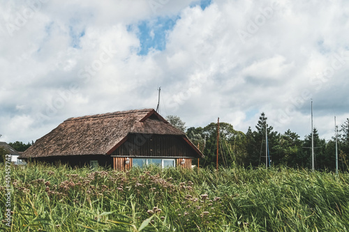 Reetdachhaus im Schilf / Wieck / Darß photo