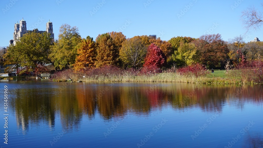 City park, fall trees reflecting on the lake City park, fall trees reflecting on the lake