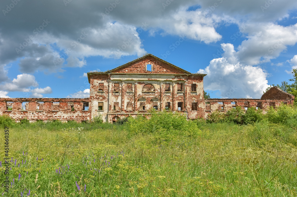abandoned red brick estate surrounded by greenery against the background of the sky