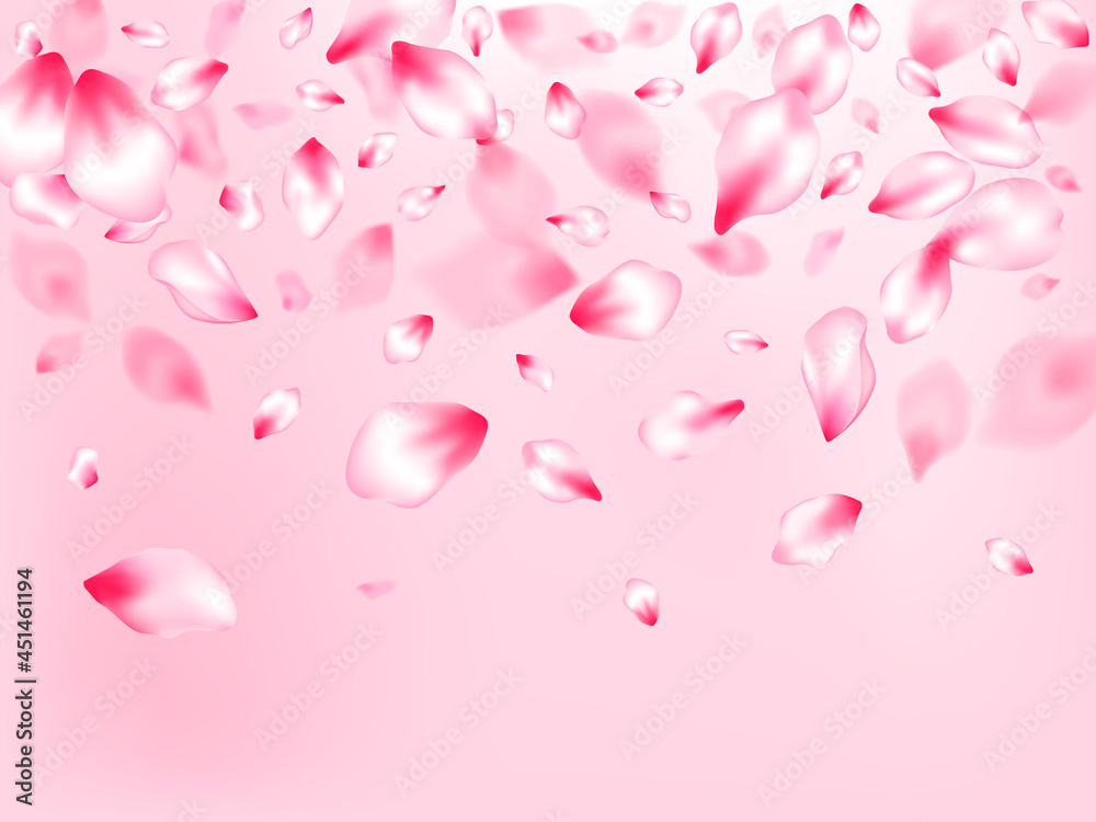 Pink cherry blossom petals isolated