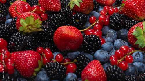 Fototapeta Naklejka Na Ścianę i Meble -  Blackberry, raspberry, blueberry,  red currant and mint background.