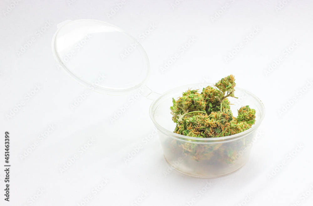 Hybrid strain sticky buds cannabis in open small plastic case on a light background with copy space. Medical prescription marijuana flowers. Therapeutic concept ideas. Hybrid strain sticky buds cannabis in open small plastic case on a light background with copy space. Medical prescription marijuana flowers. Therapeutic concept ideas.