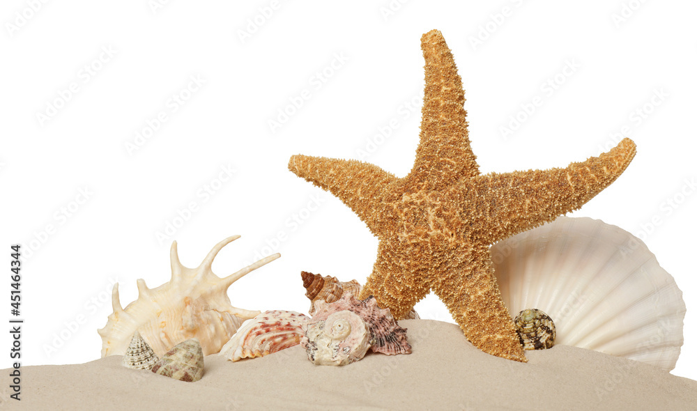 Beautiful starfish and sea shells in sand on white background Beautiful starfish and sea shells in sand on white background