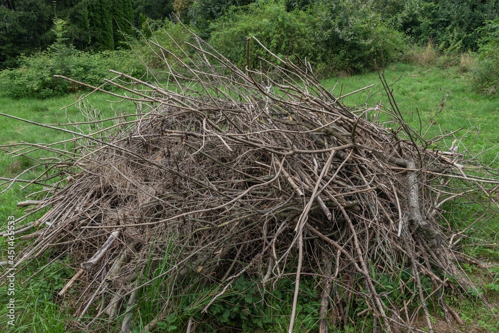 Stick branches wood trees stack heap nest Stick branches wood trees stack heap nest