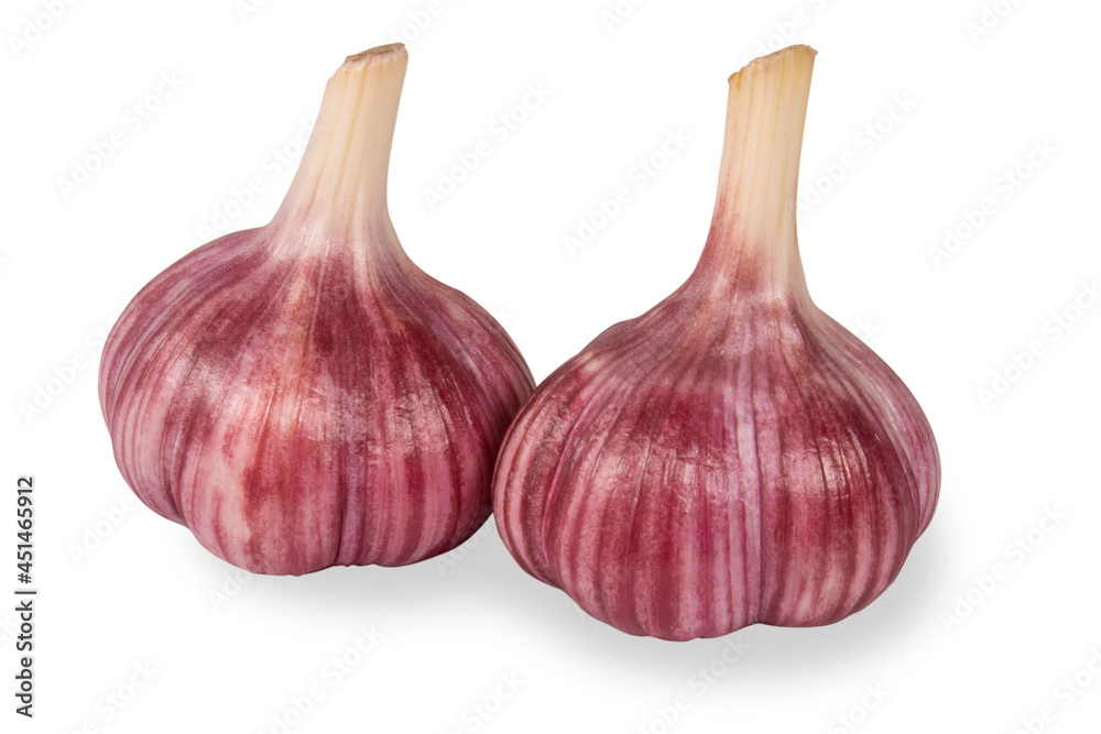 Obraz premium Two onions of fresh raw garlic isolated on a white background.A bright vegetable on a white background.