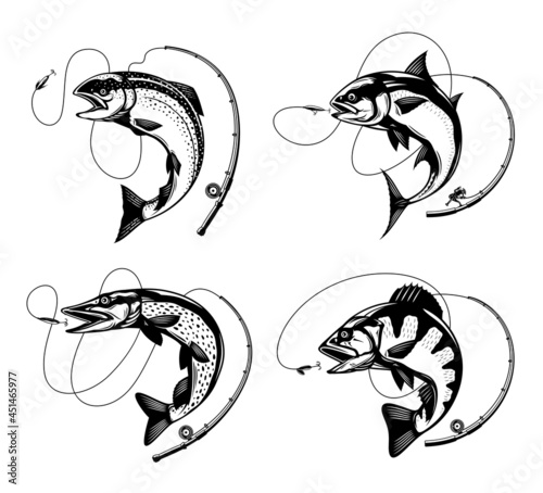 Vector fishing illustrations with jumping fish, fishing rod, line and hook. Salmon, tuna, pike and perch fish illustrations
