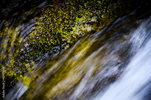 water flowing in the forest