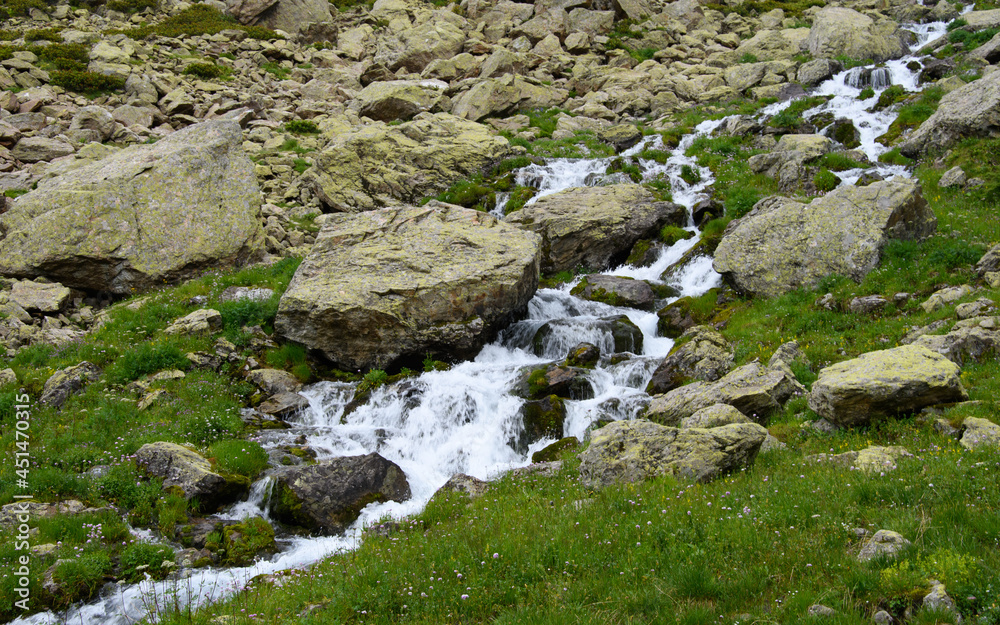moss covered rocks moss covered rocks