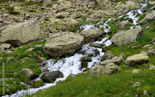 moss covered rocks