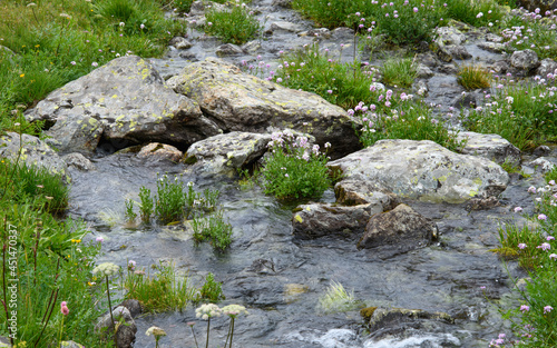 moss on stone