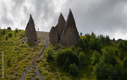 castle in the forest