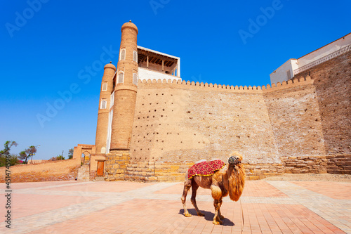 Ark of Bukhara Fortress in Uzbekistan
