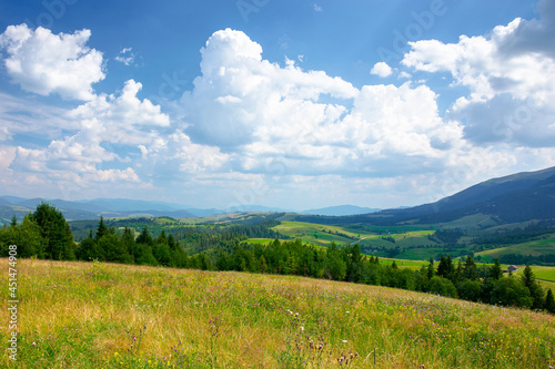 mountain landscape with meadow and valley. beautiful countryside scenery in summer. coniferous forest on the grassy slope. bright sunny weather with gorgeous cloudscape on the afternoon sky © Pellinni