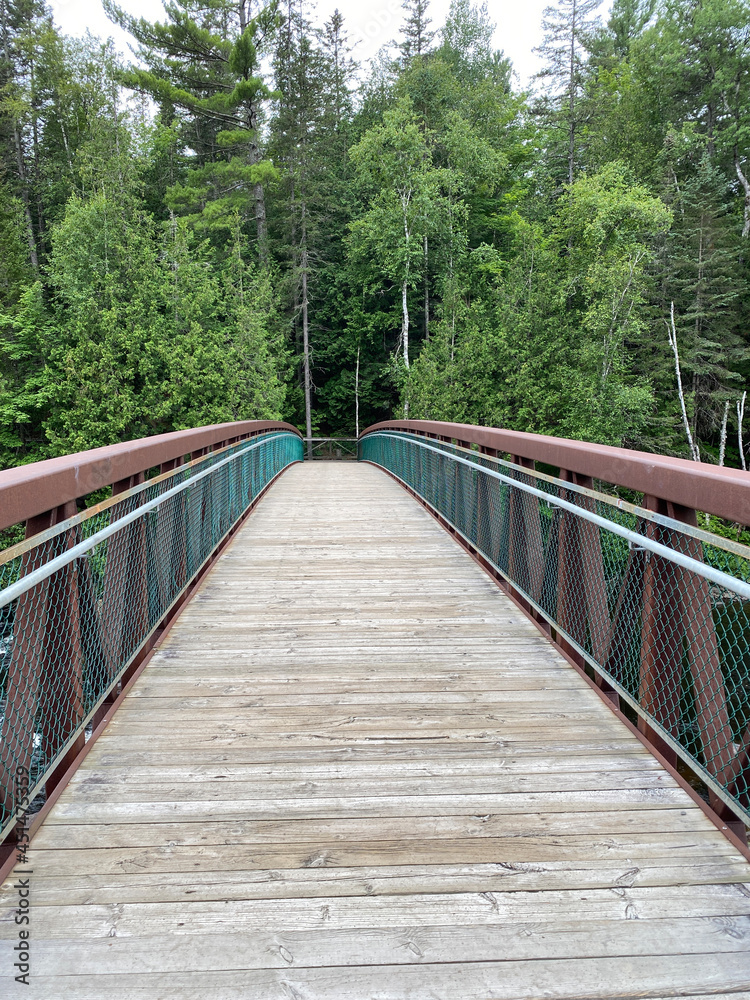 Wooden bridge in the forest