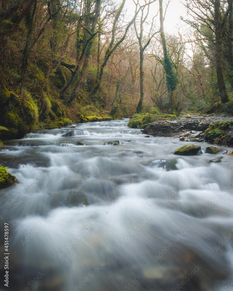 Rushing water in an autumn woodland Rushing water in an autumn woodland