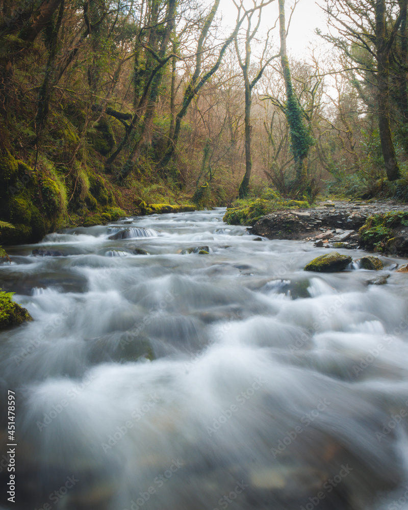 Rushing water in an autumn woodland