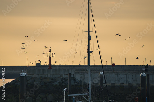Beautiful early morning view of sea gulls flying over boat and yacht masts with epic hazy orange sunrise sky in Dun Laoghaire harbor seen from West Pier, Dublin, Ireland. Soft and selective focus
