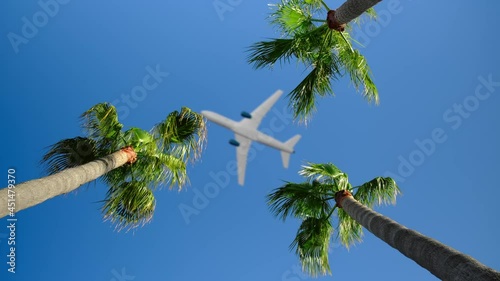 Vacation Video Of An Aeroplane (Airplane) Flying Over Palm Trees In The Tropics