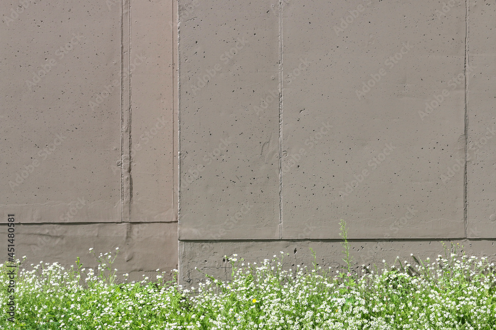 Concrete wall against the meadow full of chamomile flowers Concrete wall against the meadow full of chamomile flowers