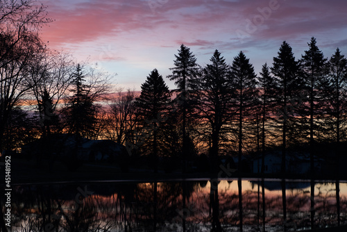 sunrise reflected in a pond with trees