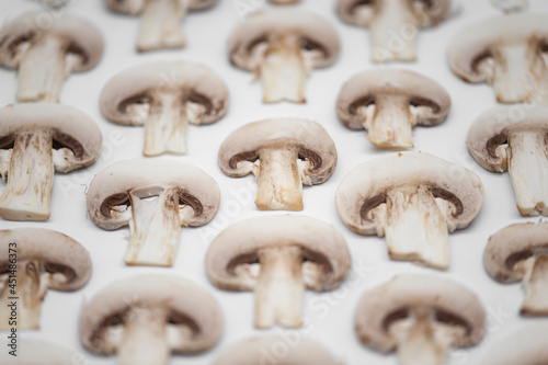 pattern columns of sliced champignon mushroom on white background conceptual abstract photo