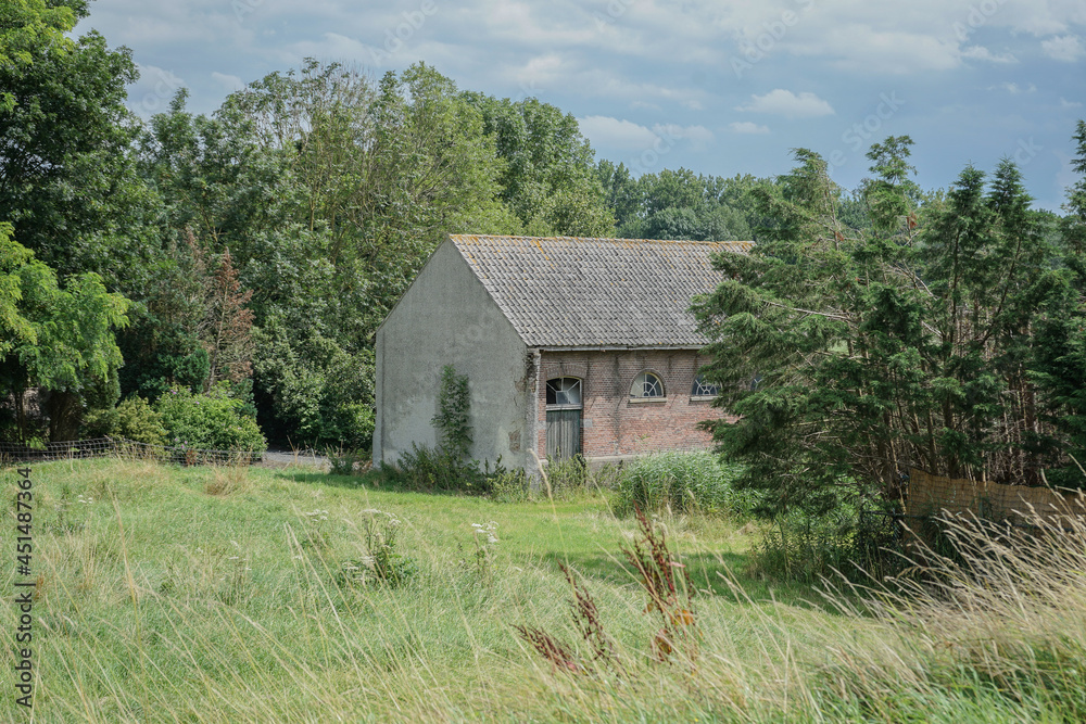 Obraz premium old house in the woods