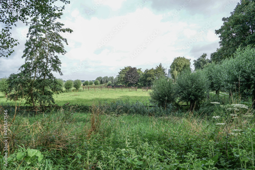 Obraz premium landscape with trees and clouds