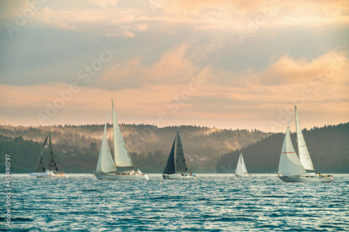 Five sailing yachts sail under a beautiful sky with cirrus clouds, the reflection of the sun in the water, there is a light fog on the shore.