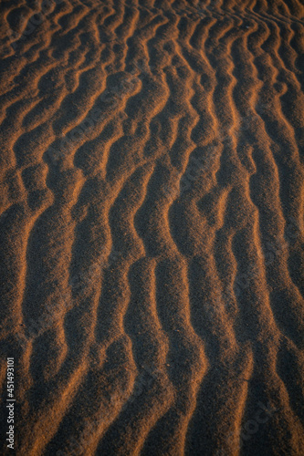 Sand texture outlined by the wind. Wavy shapes of light and shadow. © Horacio Selva