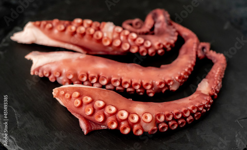 Boiled octopus tentacles on a stone background. Seafood.