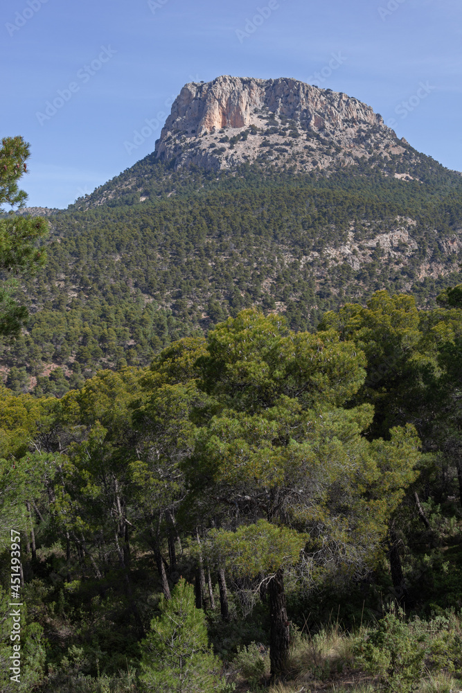 Scenic view of peak Morron de Espuna in Sierra Espuna national park, Totana district, Murcia, Spain