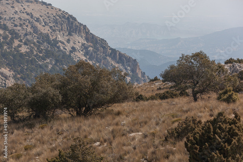 Mountain region in Sierra Espuna national park, Totana district, Murcia, Spain photo