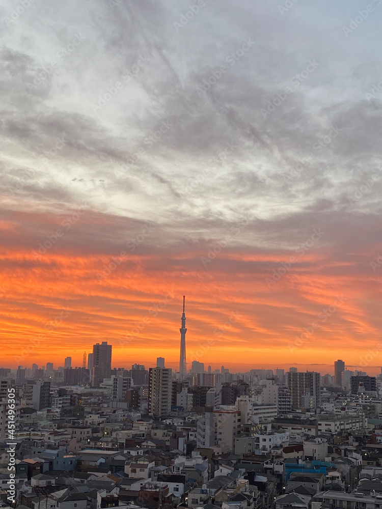 Fototapeta premium sunset over the city