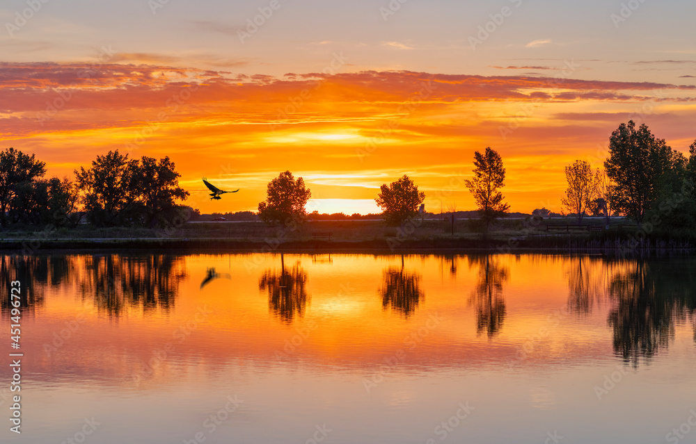 Osprey with fish at sunrise