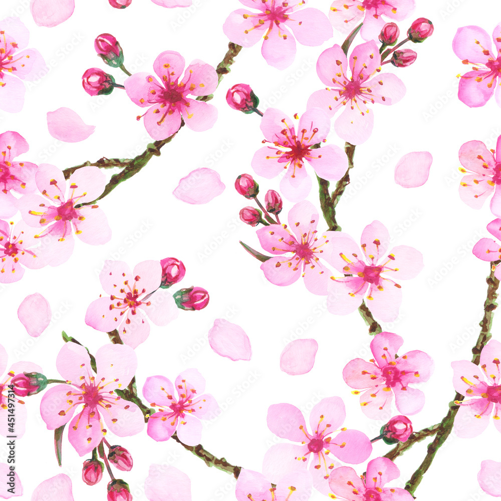 Watercolor illustration of pink cherry blossom. Hand painted spring time flower pattern.
