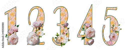 Raster set of numbers 1, 2, 3, 4, 5 with pink blurred floral fill and white roses. Isolated elements on a white background. Broadway.