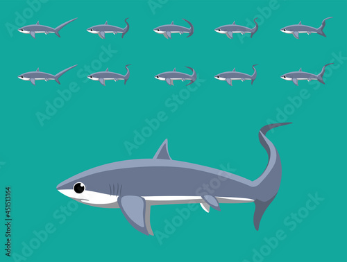 Animal Animation Sequence Thresher Shark Cartoon Vector